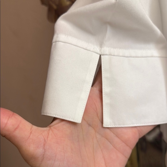 Taylor Investments no iron classic button down with darts and open collar - Picture 4 of 5